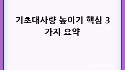 기초대사량 높이는 방법: 건강하게 에너지 UP!