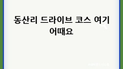 마산 렌트카 꿀팁! 동산리에서 드라이브🚗💨